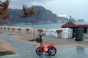 30 kuruşa 80 kilometre: Hem de yerli