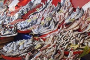 Kar yağışı balık fiyatlarını y&uuml;kseltti