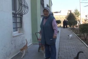 "Boynumu da koparsalar ben pes etmem"