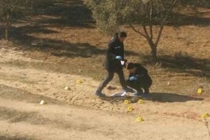 Aydın'da &ccedil;ıplak ceset bulundu