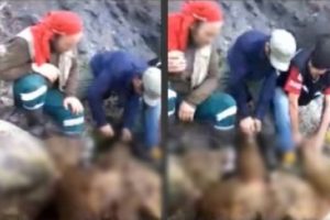 Ayıyı vurup par&ccedil;alayan 6 kişi yakalandı