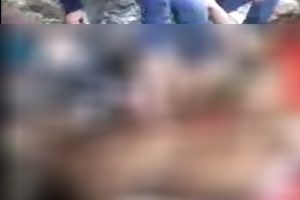 Bartın'da 6 kişi ayıyı par&ccedil;alarken video &ccedil;ekince yakayı ele verdi