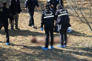 Zeytinlikte &ccedil;ıplak erkek cesedi bulundu