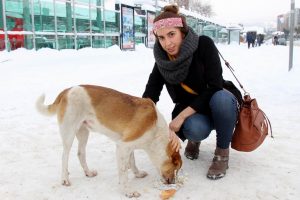 A&ccedil;lıktan bitkin d&uuml;şen k&ouml;peğe yemeğini verdi
