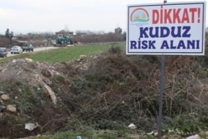 Bolu'nun iki k&ouml;y&uuml;nde kuduz karantinası