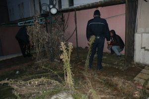 Kablo hırsızından şaşırtan savunma