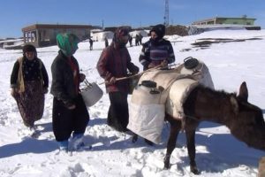 Kadınların bitmeyen &ccedil;ilesi: Eşeklerle su taşıyorlar