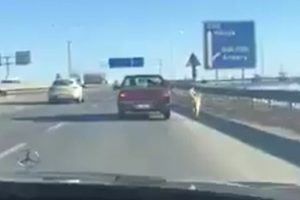 K&ouml;peğe akılalmaz işkence! Kilometrelerce b&ouml;yle koşturdu