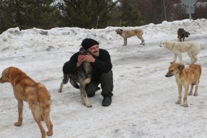 K&ouml;peklere yardım i&ccedil;in her g&uuml;n 50 kilometre gidiyor
