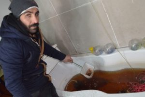 Oksijensiz kalan y&uuml;zlerce s&uuml;s balığı telef oldu