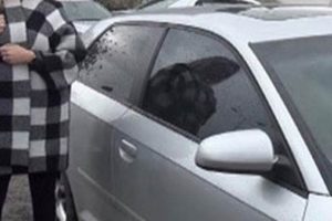 Cam filmine kesilen ceza iptal oldu!