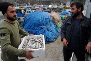 'Karadeniz'de balık kalmadı'