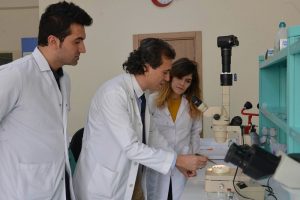 Sel&ccedil;uk &Uuml;niversitesi, derin yaraları iyileştirecek sinek larvası &uuml;retecek