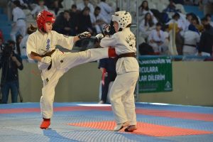 Bursa'da Karate Şampiyonası'na Yıldırım damgası