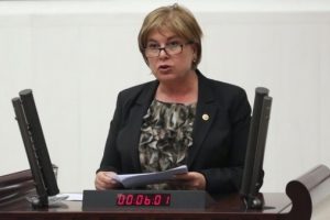 CHP'li Elif Doğan T&uuml;rkmen'in oda isteğine onay &ccedil;ıkmadı