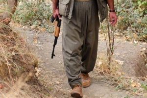 PKK'ya ağır darbe! Yakalandı
