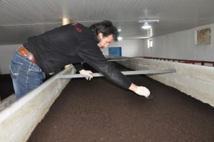 Haberden etkilenerek, solucan g&uuml;bresi &uuml;retim tesisi kurdu