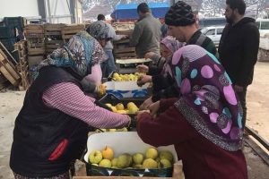 Irak'a 40 ton elma ihra&ccedil; edildi