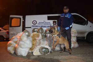 Ateş a&ccedil;ılarak durdurulan minib&uuml;ste 477 kilo esrar ele ge&ccedil;irildi