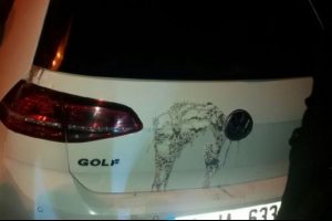 Otomobilin &uuml;zerine asit d&ouml;kd&uuml;ler