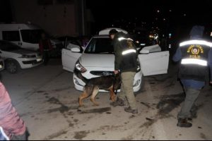 Tunceli'de 300 polisle asayiş uygulaması