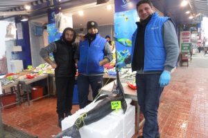 &Ccedil;anakkale'de yakalandı Bursa Mudanya'da sergilendi