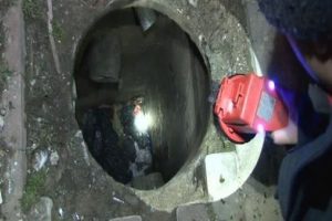 Son bir bu&ccedil;uk ayda sadece o b&ouml;lgede 152 tanesi &ccedil;alınmış
