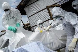 Ebola'yı 's&uuml;per dağıtıcılar' yaydı