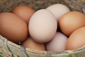 Almanya'da yumurta sıkıntısı