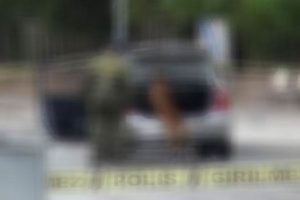 Lice'de bir ara&ccedil; bulundu