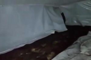 Mardin'de PKK'lıların konferans i&ccedil;in kullandığı sığınak bulundu