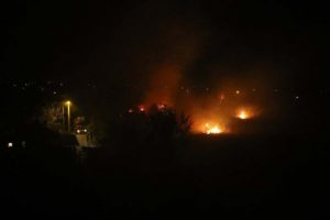 Antalya'da &ccedil;alılık yangını korkuttu