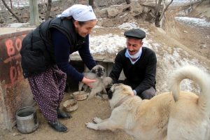 A&ccedil; kalan "yavru k&ouml;pekler" i&ccedil;in 1 ton mama g&ouml;nderildi