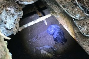 Bir 'kuyu' operasyonu daha başarıyla sonu&ccedil;landı
