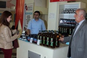 Bursa İmralı Adası'na 500 zeytin fidanı daha dikildi