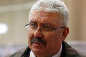 Yal&ccedil;ın: MHP adına hareket edemezler