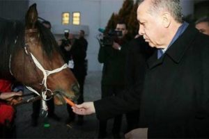 Erdoğan, Malatya B&uuml;y&uuml;kşehir Belediyesi'ni ziyaret etti