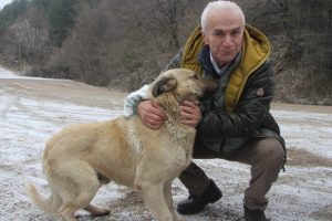 Bursa Uludağ'daki sahipsiz hayvanların babası