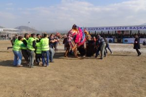 Develeri ayırmak kolay olmadı