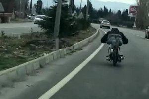 Motosiklet s&uuml;r&uuml;c&uuml;s&uuml; &ouml;l&uuml;me davetiye &ccedil;ıkardı!