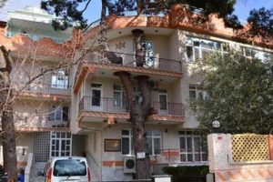 325 yıllık ağa&ccedil; kesilmeyince ortaya bu manzara &ccedil;ıktı