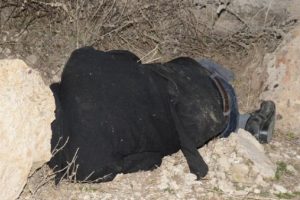 Kayıp zihinsel engelli &ouml;l&uuml; bulundu