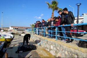 İzmir &Ccedil;eşme'de 1'i kadın 2 ceset bulundu