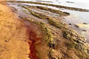 İtalya'da T&uuml;rk Merdivenleri'nin kırmızıya d&ouml;nme nedeni araştırılıyor