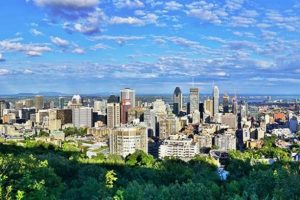 Montreal, ''sığınma şehri'' ilan edildi