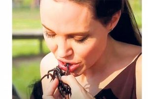 Angelina Jolie canlı &ouml;r&uuml;mcek yedi