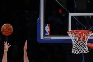 NBA yıldızı &uuml;lkesinde federasyon başkanı oldu