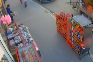 Batman'da ceviz hırsızı kamerada