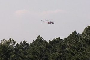 İstanbul'da orman yangını