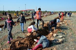 Şanlıurfa'da minik &ouml;ğrenciler 10 bin fidan dikti